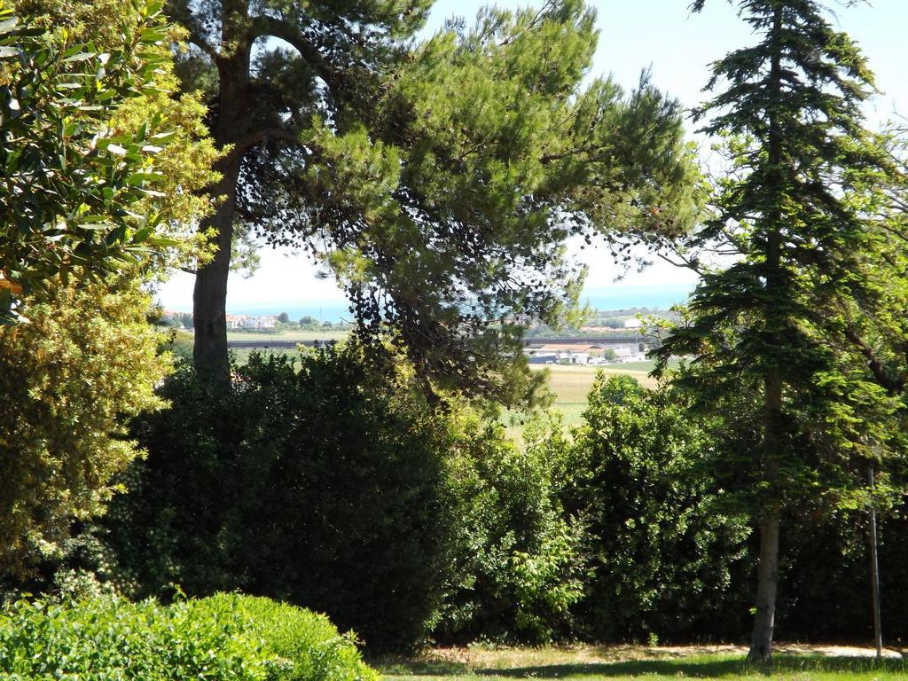 Tenuta Villa Colle Sereno Montemarciano Exteriér fotografie